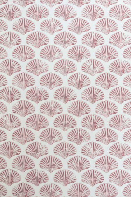 Picture of Scallop Shell - Red - BG2100101