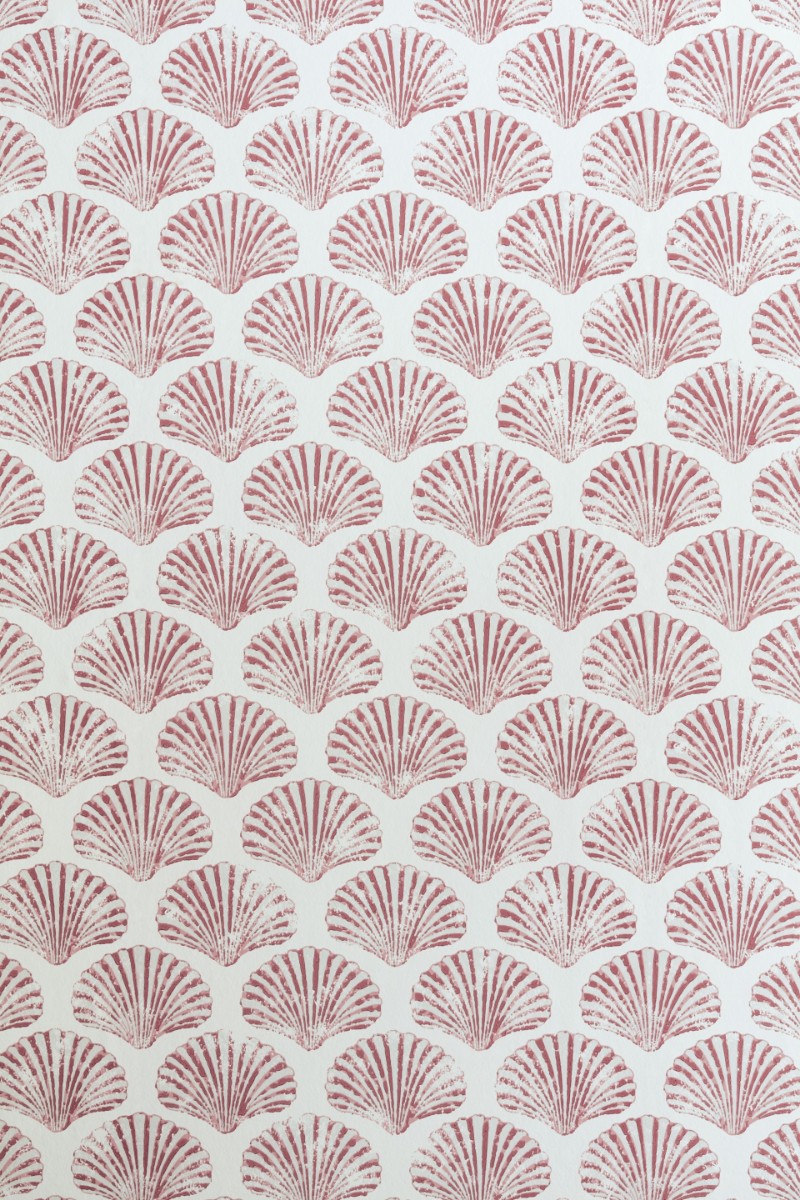 Picture of Scallop Shell - Red - BG2100101