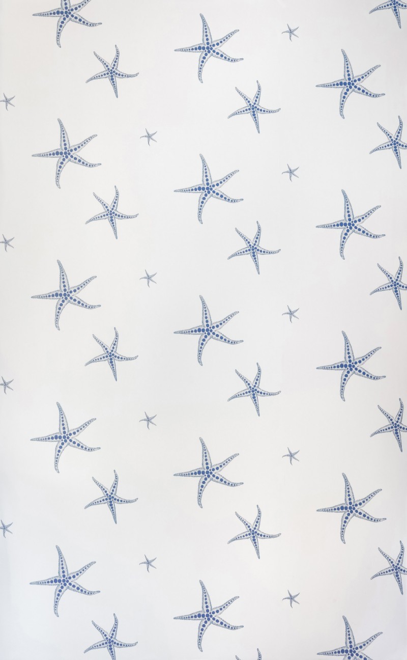 Afbeeldingen van Starfish - Blue on Parchment  - BG2200102