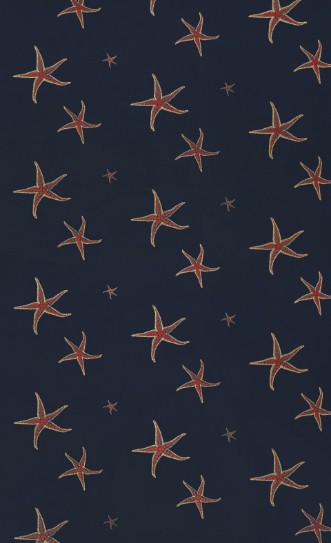 Picture of Starfish - Navy/Sienne - BG2200101