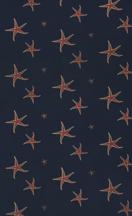 Picture of Starfish - Navy/Sienne - BG2200101