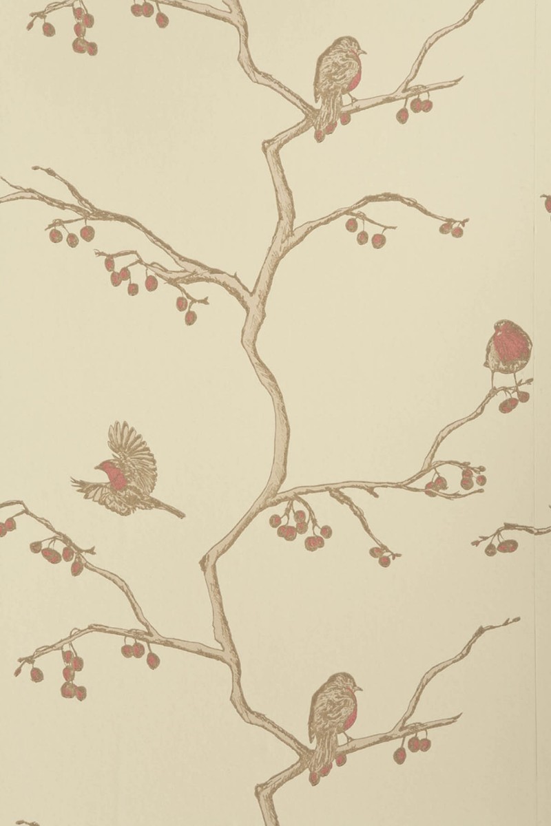 Afbeeldingen van The English Robin - Parchment - BG0300102