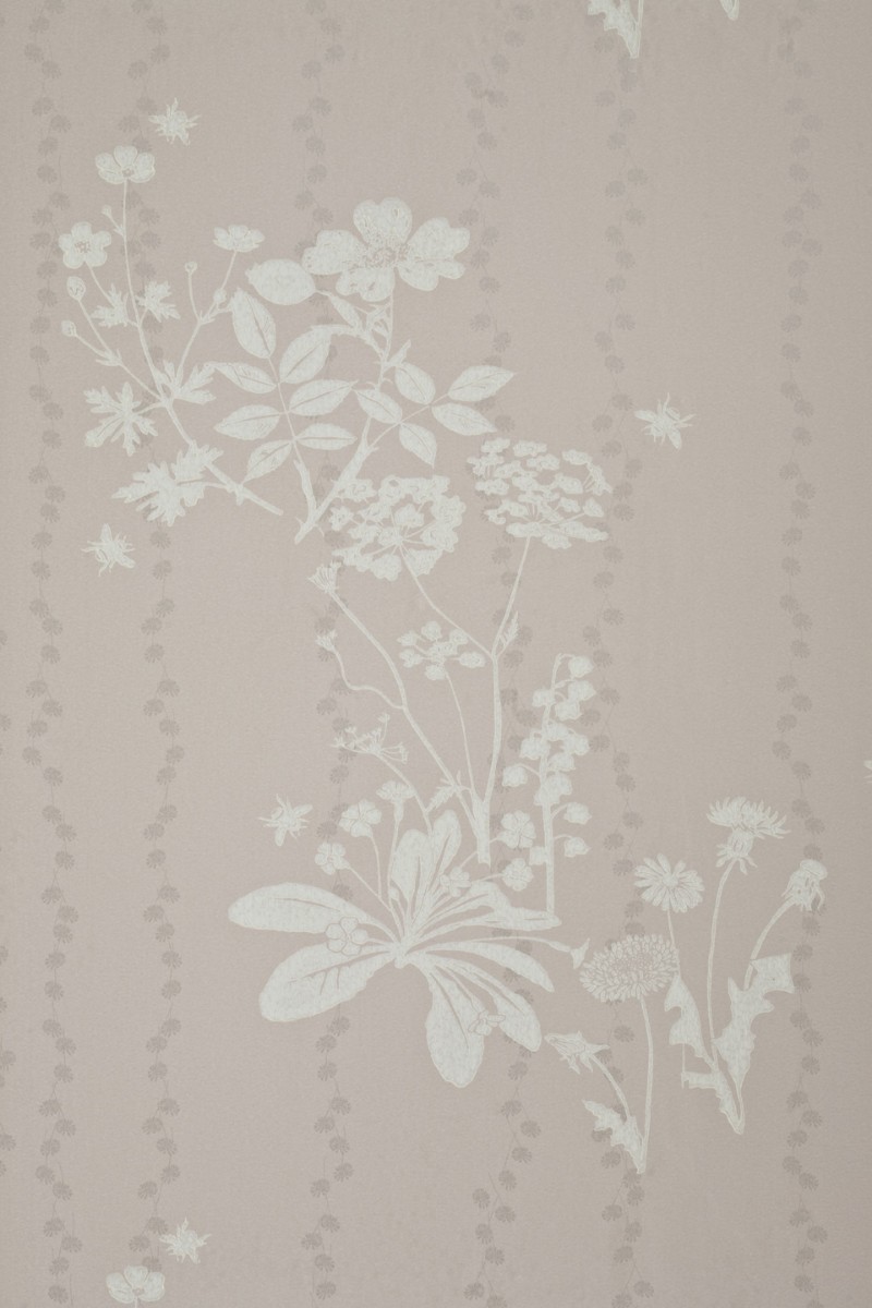 Picture of Wild Meadow - Plaster - BG0200101