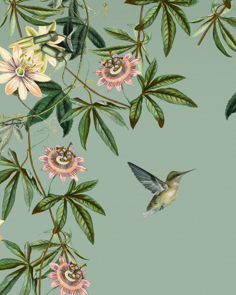 Bild på Passionate Colibri - Mur-Basic-PassionColi-4*2.80