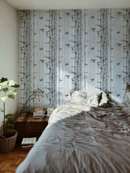 Picture of Birch Trees Grey - 9500040N