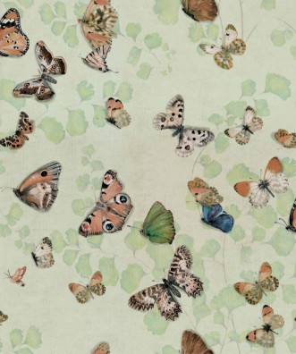 Bild på Magic butterflies Maca - 9500053N
