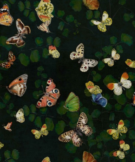Bild på Magic butterflies Night - 9500050N