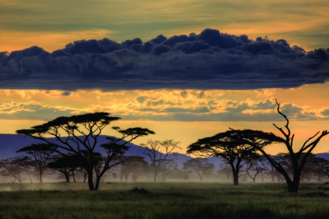 Picture of Good evening tanzania