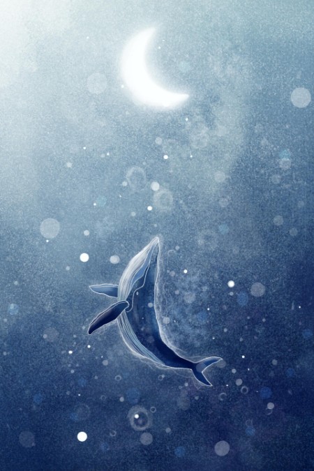 Picture of Galaxy Whale