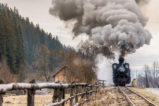 Picture of The steam train