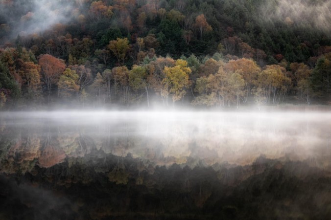 Afbeeldingen van The mystical pond in the Autumn