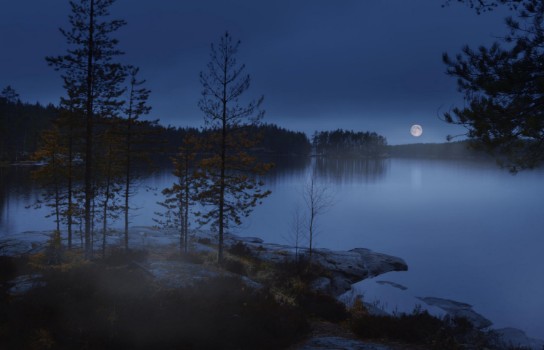 Picture of Night mist