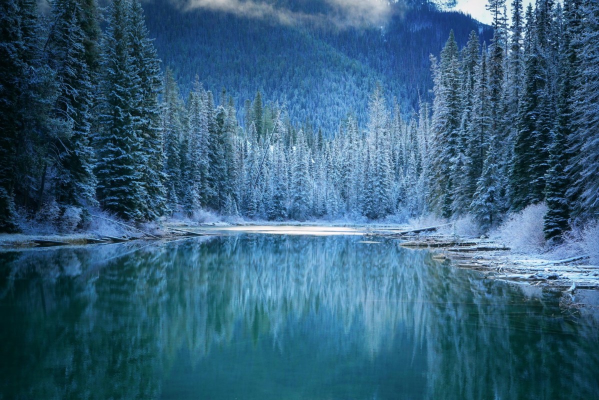 Picture of Wonder Winter Land