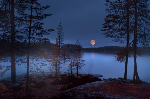 Picture of Red Moon