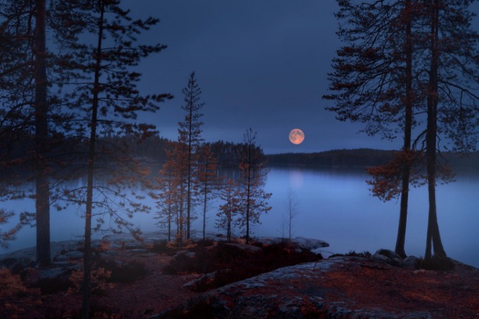 Bild på Red Moon
