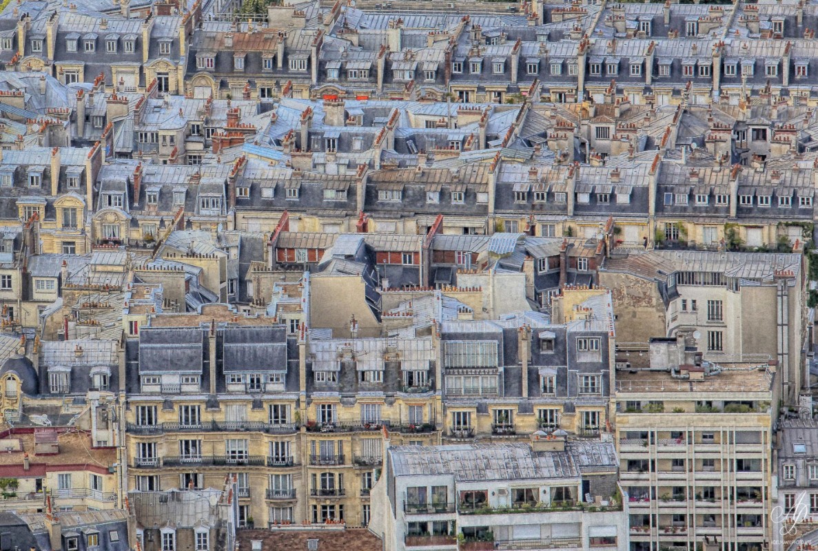 Afbeeldingen van Parisian roofs