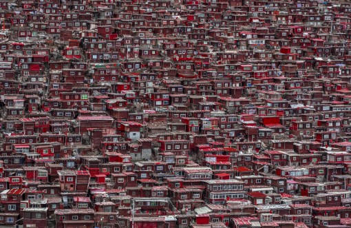 Picture of Red houses