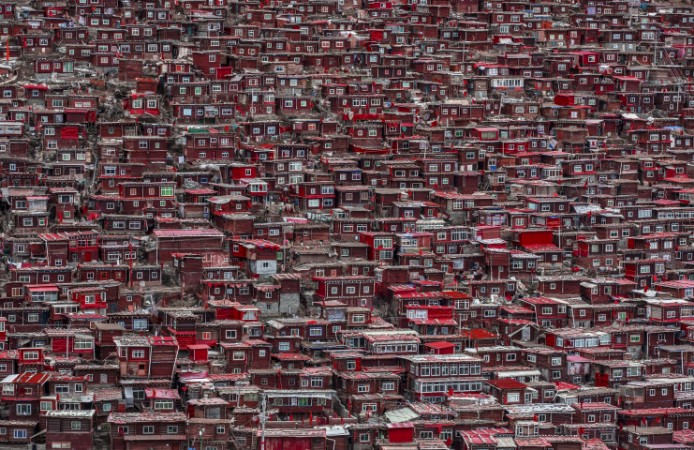 Picture of Red houses