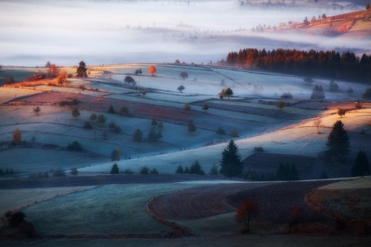 Picture of Mist