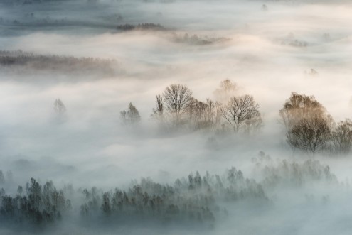 Image de Winter fog