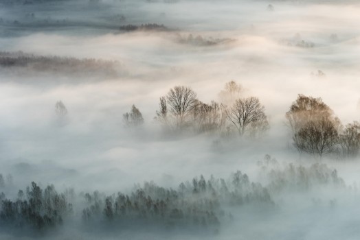 Picture of Winter fog