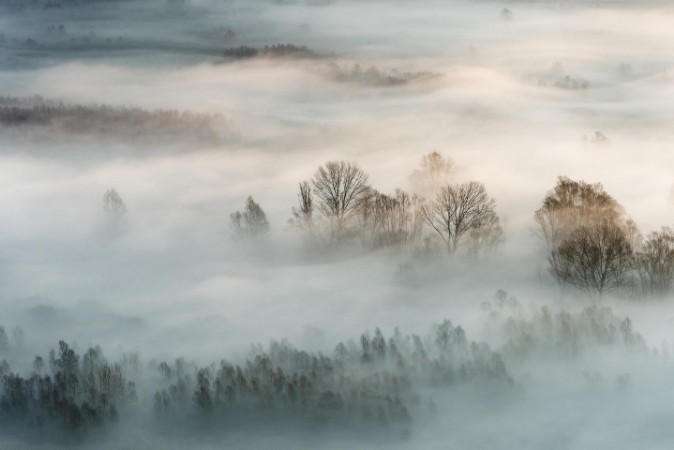 Afbeeldingen van Winter fog