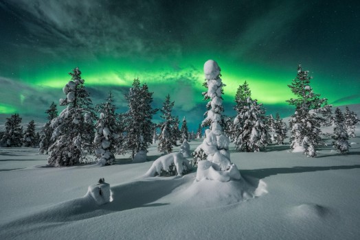 Bild på Polar night