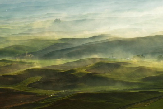 Picture of Golden Morning-Palouse
