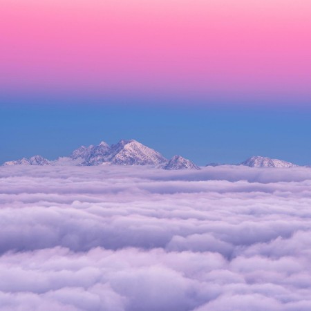 Afbeeldingen van Pink in the sky