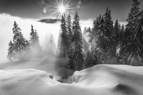 Afbeeldingen van A Winter Tale !