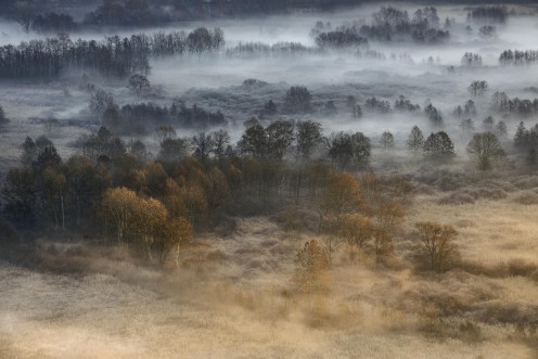 Bild på Autumnal misty dawn