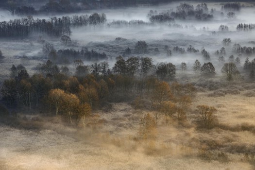 Picture of Autumnal misty dawn