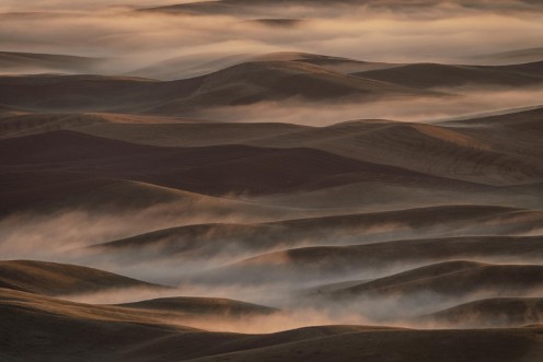 Image de Early Spring Morning at Palouse
