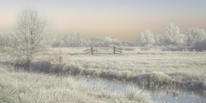 Picture of Winter in the wieden