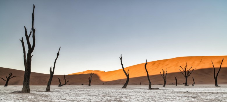 Bild på Namibian desert