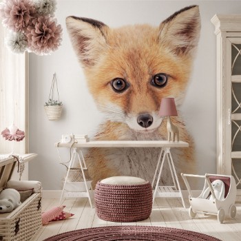 Bild på Baby Fox