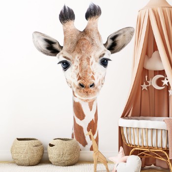 Picture of Baby Giraffe