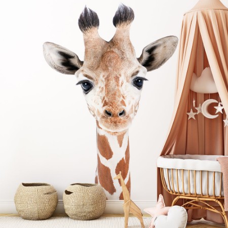 Afbeeldingen van Baby Giraffe
