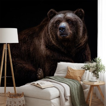 Bild på Bear Portrait