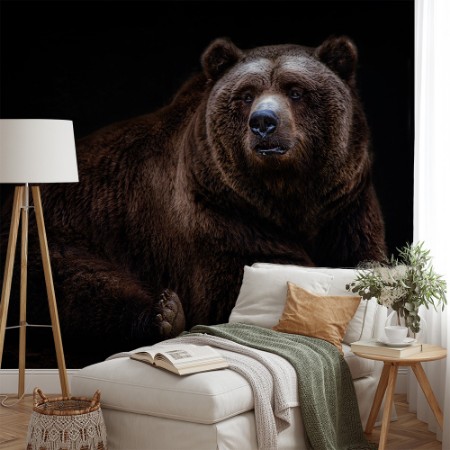 Picture of Bear Portrait