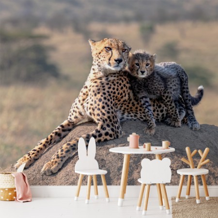 Bild på Cheetah and cub