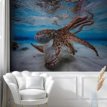 Bild på Dancing Octopus