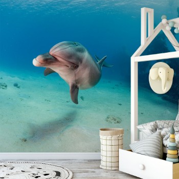 Bild på Dolphin