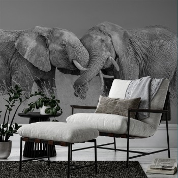 Bild på Elephant fight
