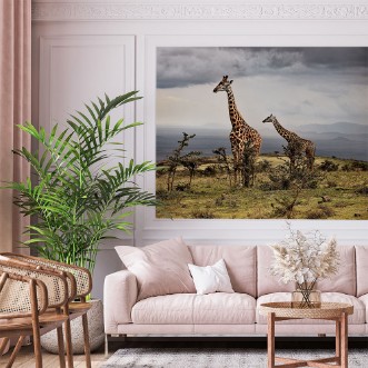 Bild på Giraffe