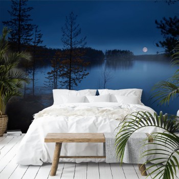 Bild på Night mist