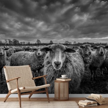 Bild på Only sheep