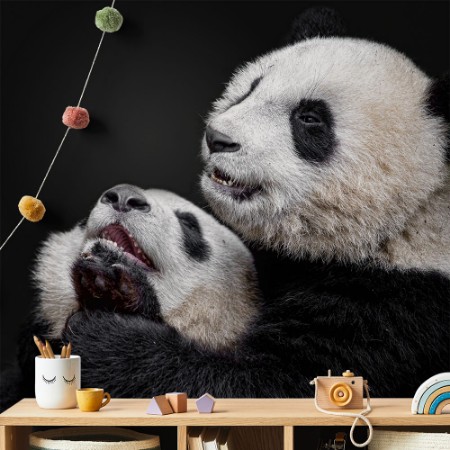 Afbeeldingen van Pandas