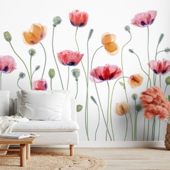 Picture of Papaver pary