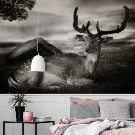 Image de Resting Bambi